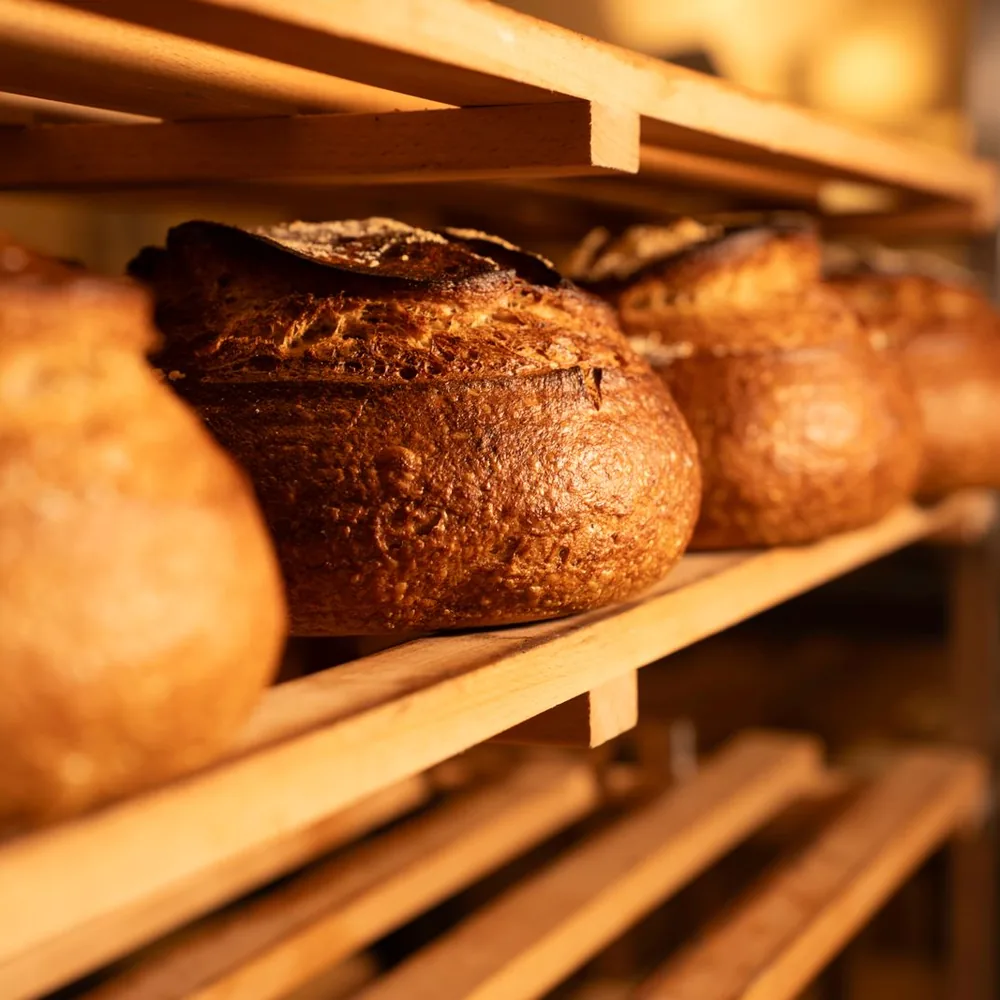 Freshly baked round crusty bread loaves on wooden bakery shelves.